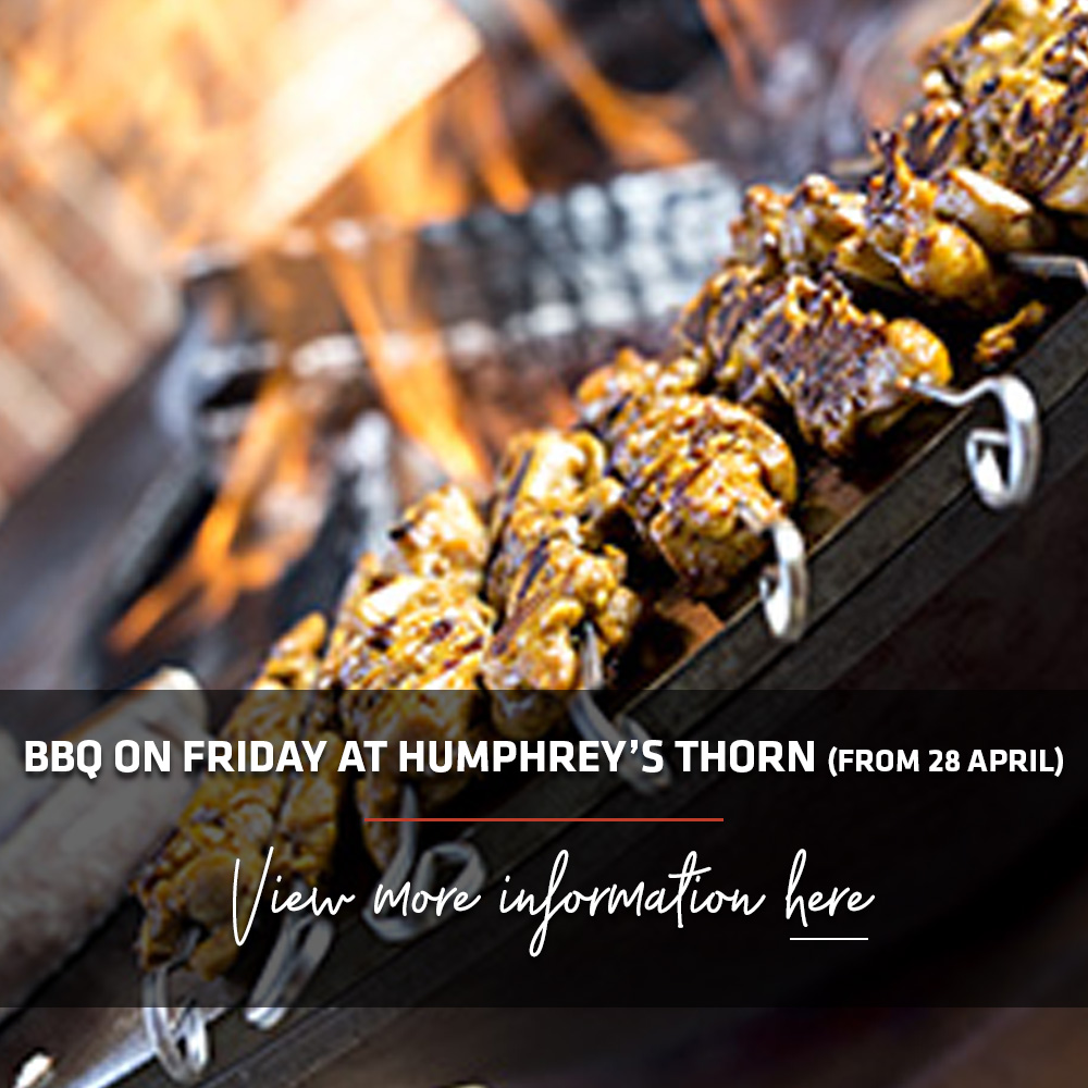 BBQ Thorn 2023 EN.jpg